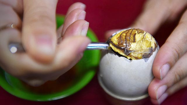 Balut: Makanan Extrim