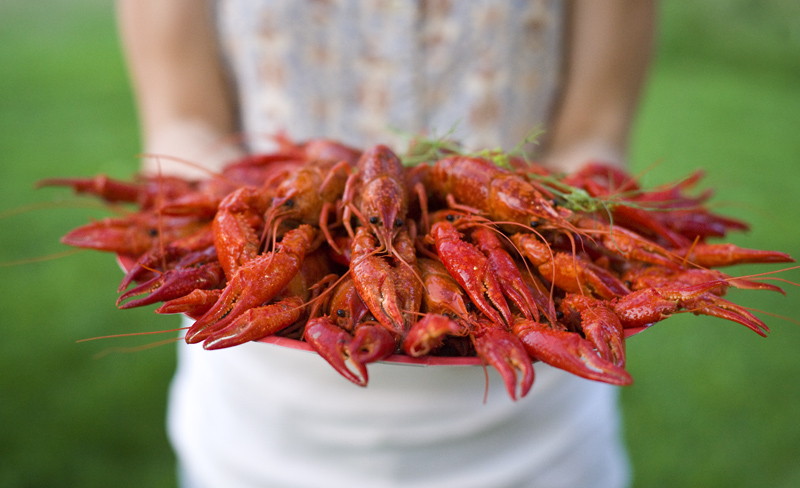 Crayfish Food