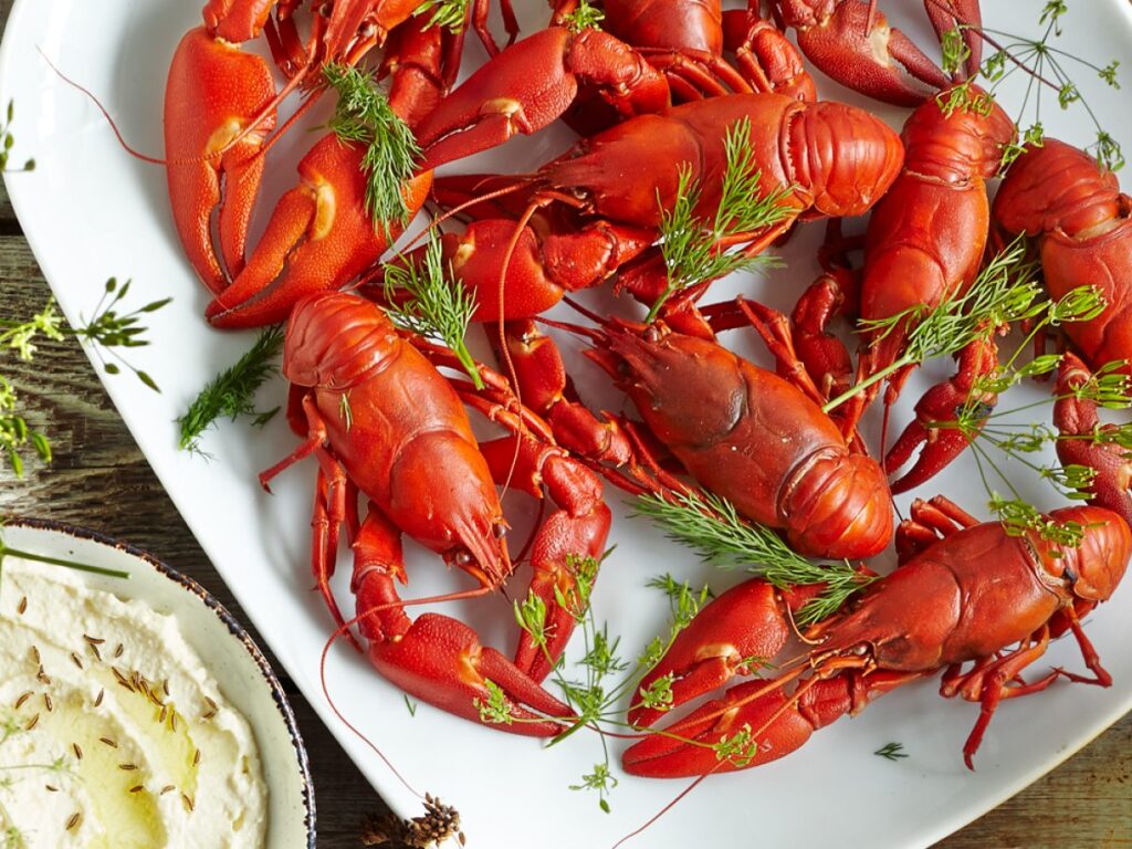 Crayfish Food